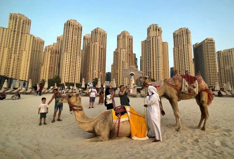 Desert Safari Dubai