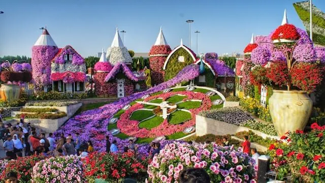 Miracle Garden Dubai tour packages