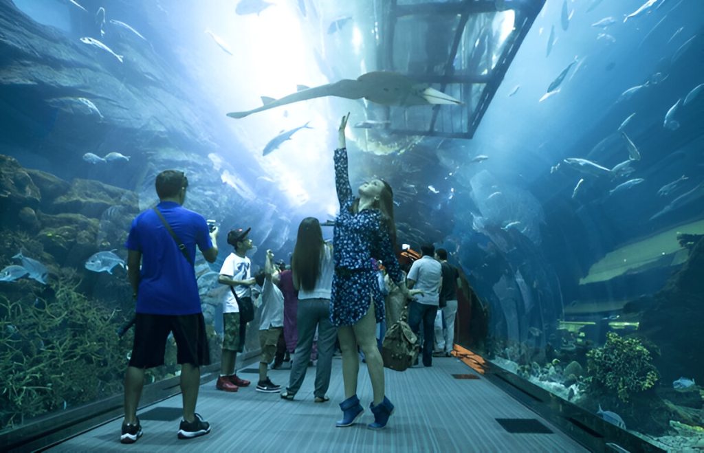 Dubai Aquarium tickets